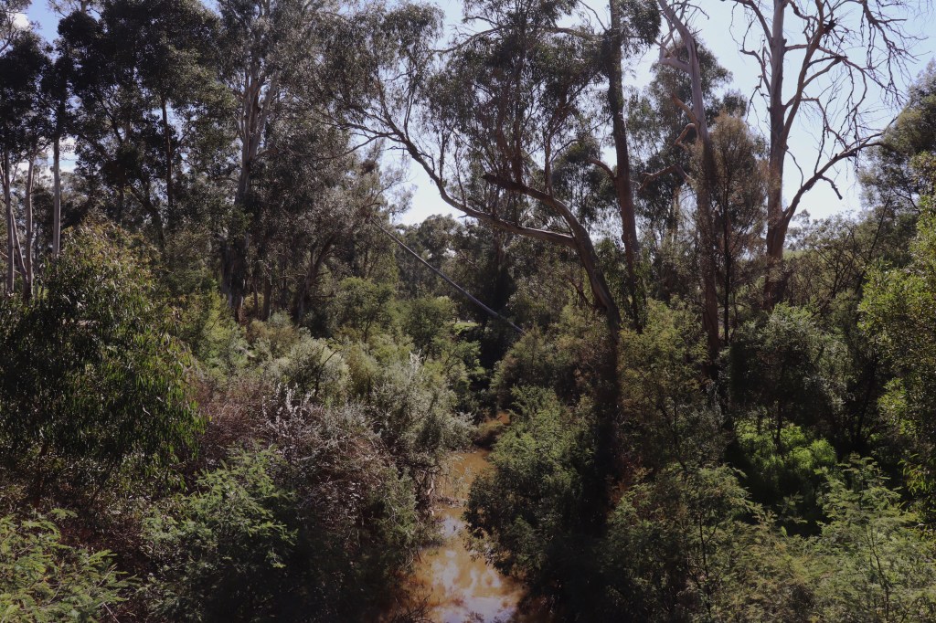 To Run Is To&nbsp;Fly